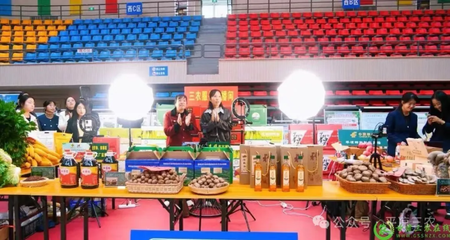 科技赋能 丰收盛典——中国农民丰收节平凉系列庆祝活动精彩纷呈